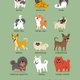 Illustration for article titled Adorable Drawings of Dog Breeds, Grouped By Their Place of Origin